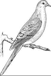 Décès