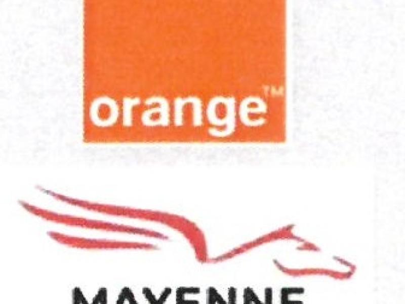 Elagage pour l'installation de la fibre